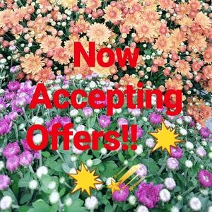 Accepting Offers Now!!